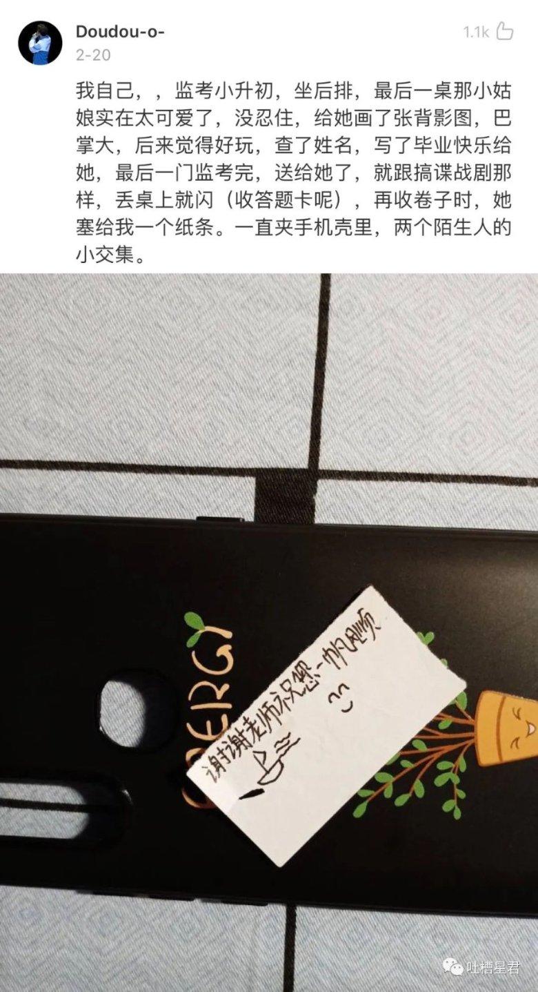 热带假日